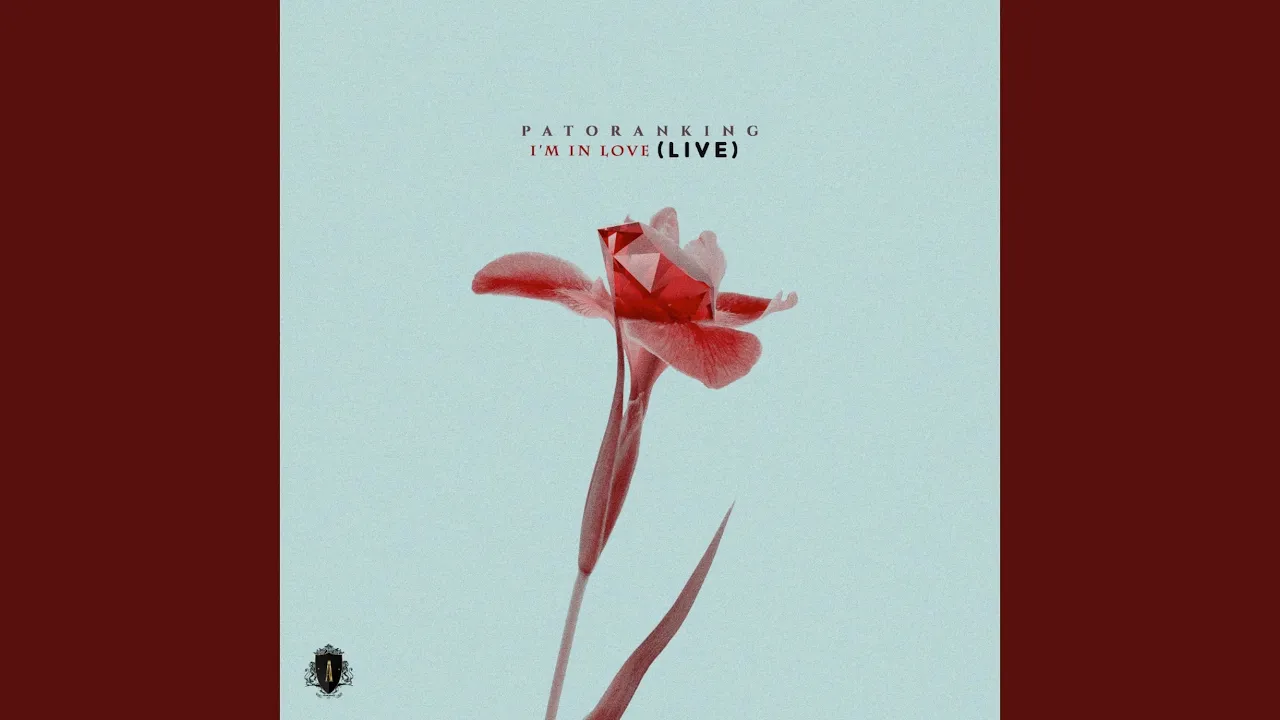 Patoranking – I’m In Love (Live)