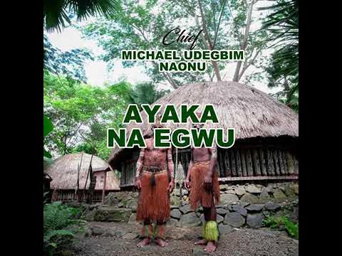 Chief Michael Udegbi – NAONU